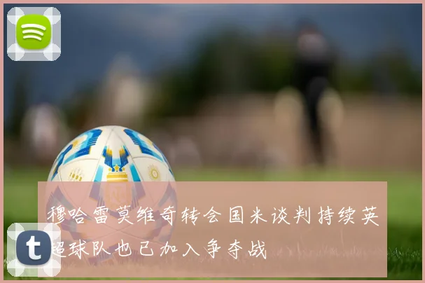 穆哈雷莫维奇转会国米谈判持续英超球队也已加入争夺战