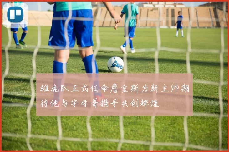 雄鹿队正式任命詹金斯为新主帅期待他与字母哥携手共创辉煌