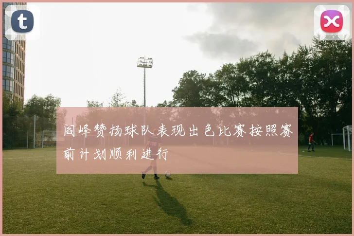 阎峰赞扬球队表现出色比赛按照赛前计划顺利进行